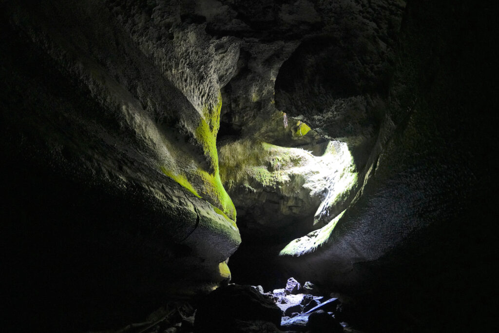 Light, originating from an out-of-view hole in the right-side roof of a lava tube, illuminates the smooth and oddly-shaped walls of the cave. Moss grows where the light touches, particularly on the left wall. The tunnel beyond the skylight and the walls at the edges of the photo are in darkness.