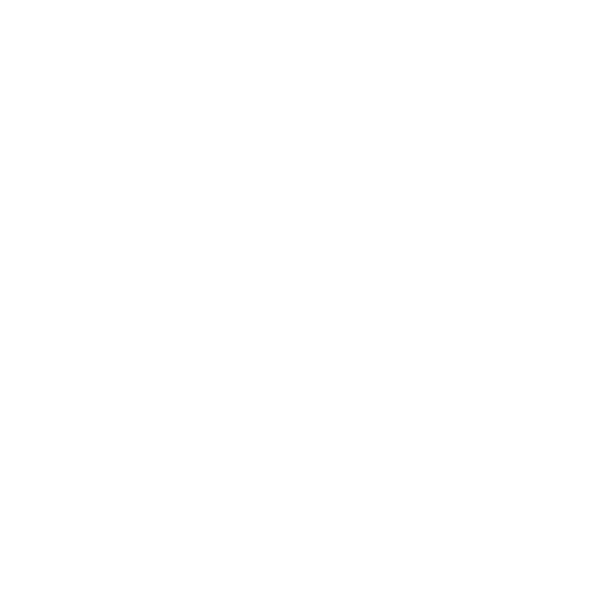 DEN Photo Travel