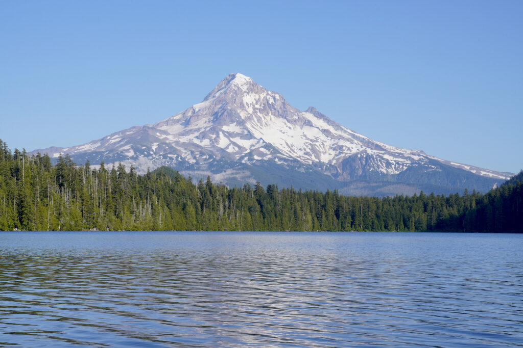 Mt Hood rises above the forest at Lost Lake.