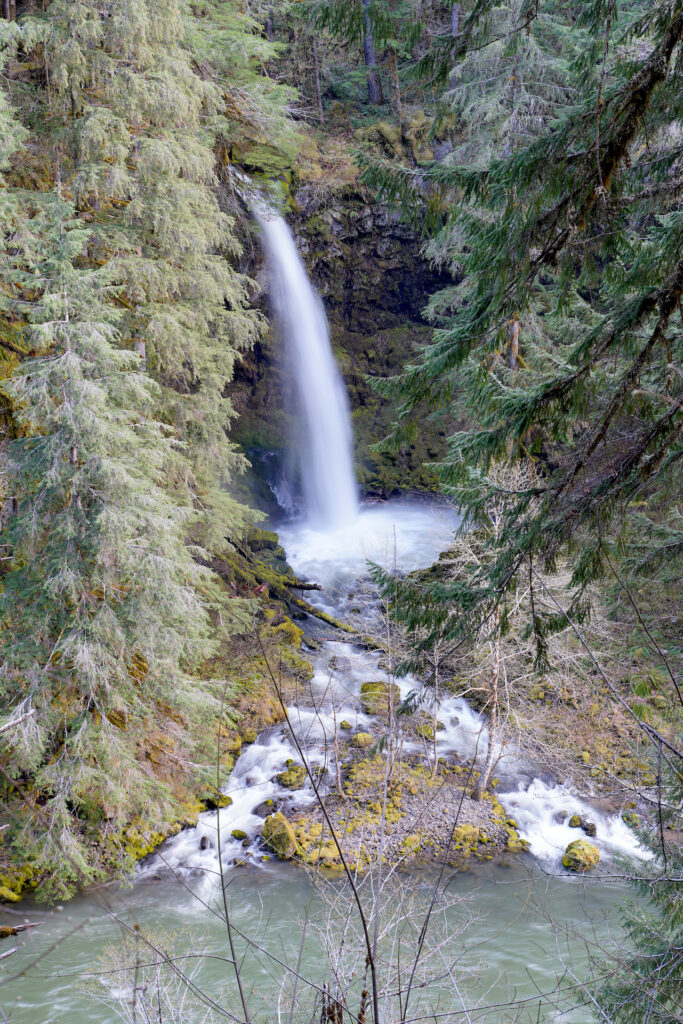 Picturesque Miller Creek Falls pours into the forested North Fork Lewis River Canyon, then splits into two channels before joining the river. 