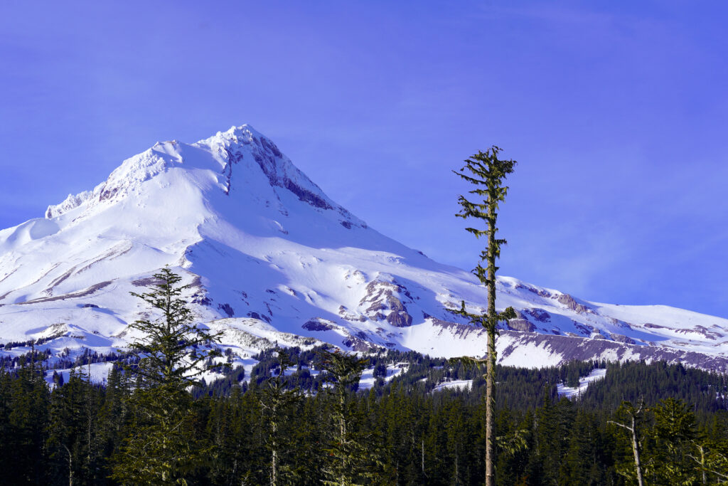 Snow-covered Mt Hood on a clear winter day.