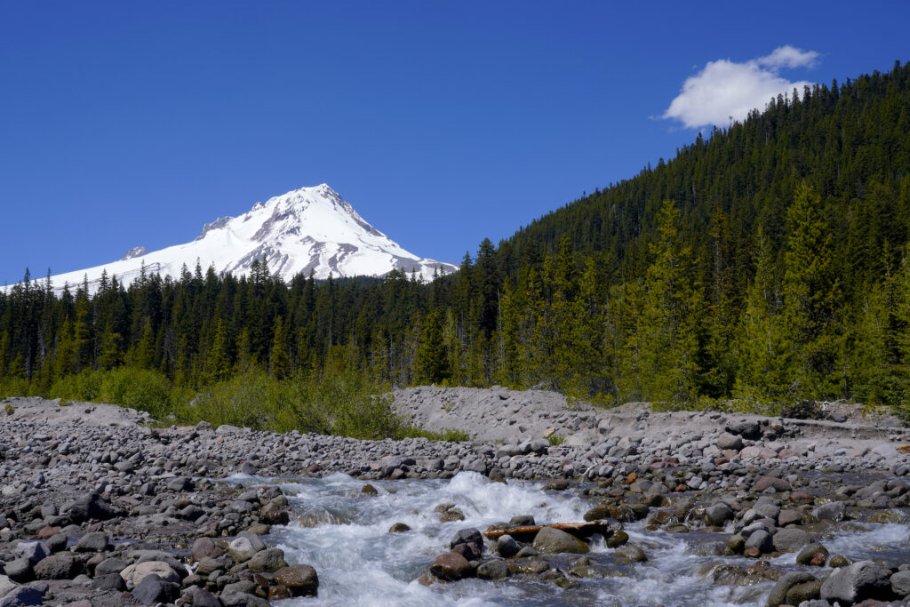 Mt Hood soars beneath clear blue skies, with forested slopes below it. The headwaters of White River rush through a huge field of rocks in the foreground.