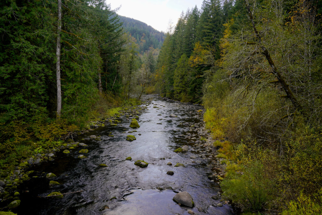 Oregon's Salmon River flows through an autumnal forest at Wildwood Recreation Area.