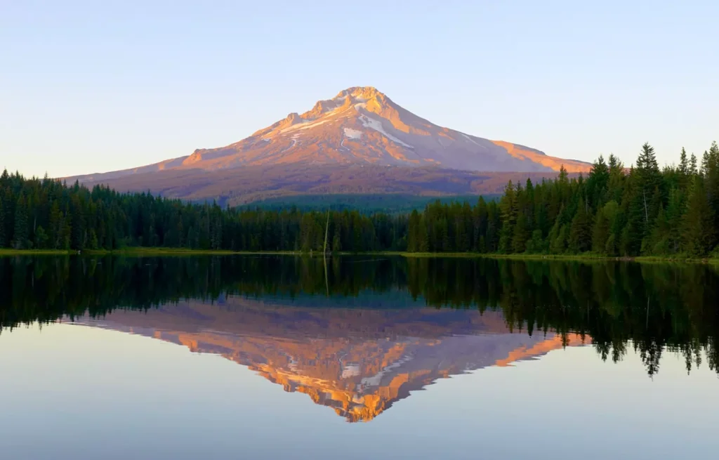 Mt Hood, bathed in pink sunset light, is reflected in Trillium Lake.