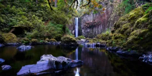 A wide pool reflects Abiqua Falls with forest surrounding the scene.