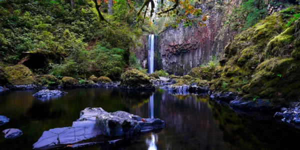 A wide pool reflects Abiqua Falls with forest surrounding the scene.