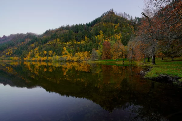 Forested slopes are reflected in the still water of Benson Lake on an autumn evening.