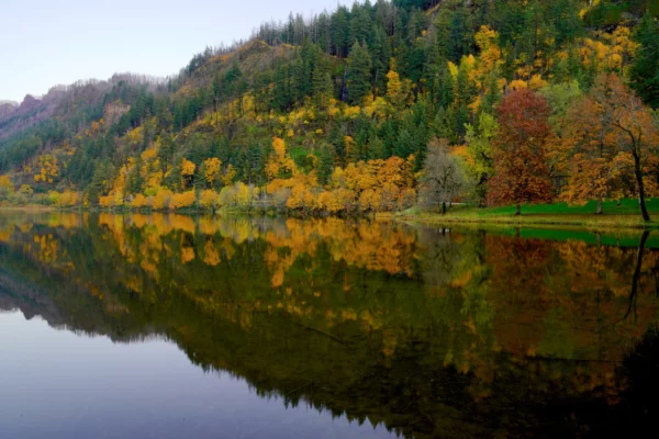 Forested slopes are reflected in Benson Lake in autumn, with gold and yellow maple trees mixed in with green conifers.