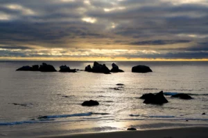 Offshore rocks appear black against the soft warm light reflecting off the ocean at Face Rock on the Oregon Coast.