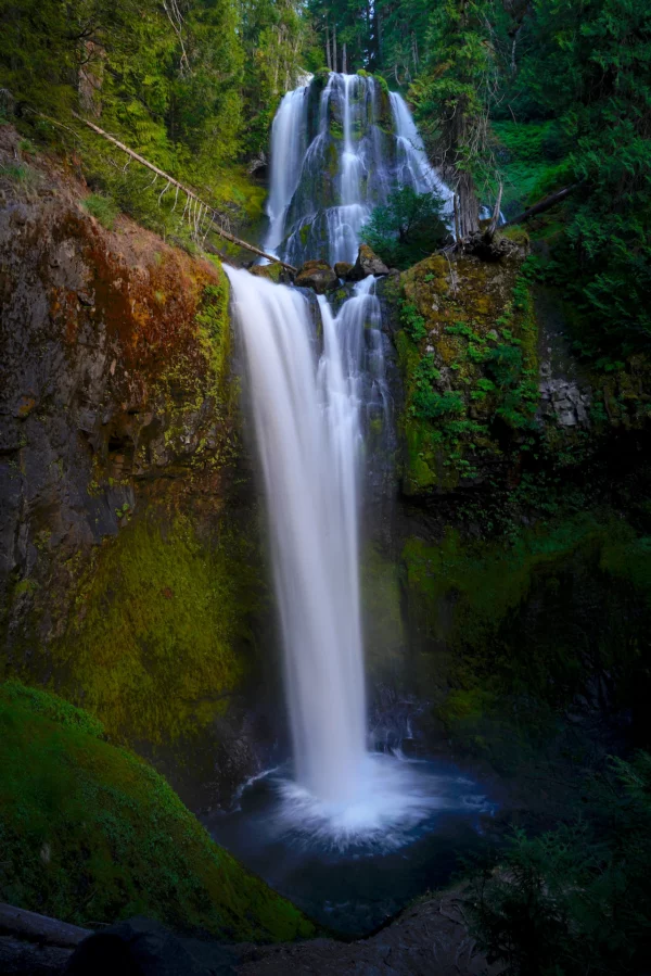 Falls Creek Falls drops beautifully through Gifford Pinchot National Forest in Washington.