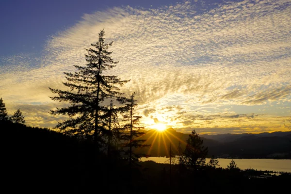 Incredible cloud patterns catch the golden sunset rays above the Columbia Gorge.