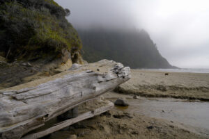 Looking down Hobbit Beach to Heceta Head, which is obscured by fog. A driftwood log lies in the foreground.