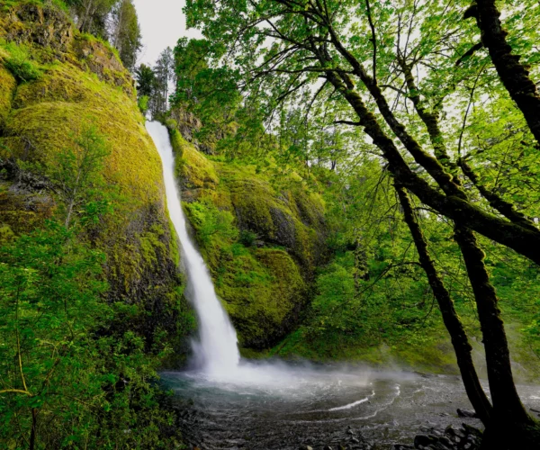 185-foot Horsetail Falls slides down a mossy cliff in the Columbia River Gorge.