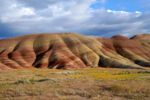 Late afternoon sunlight casts shadows across the gently-wrinked face of Painted Hills.