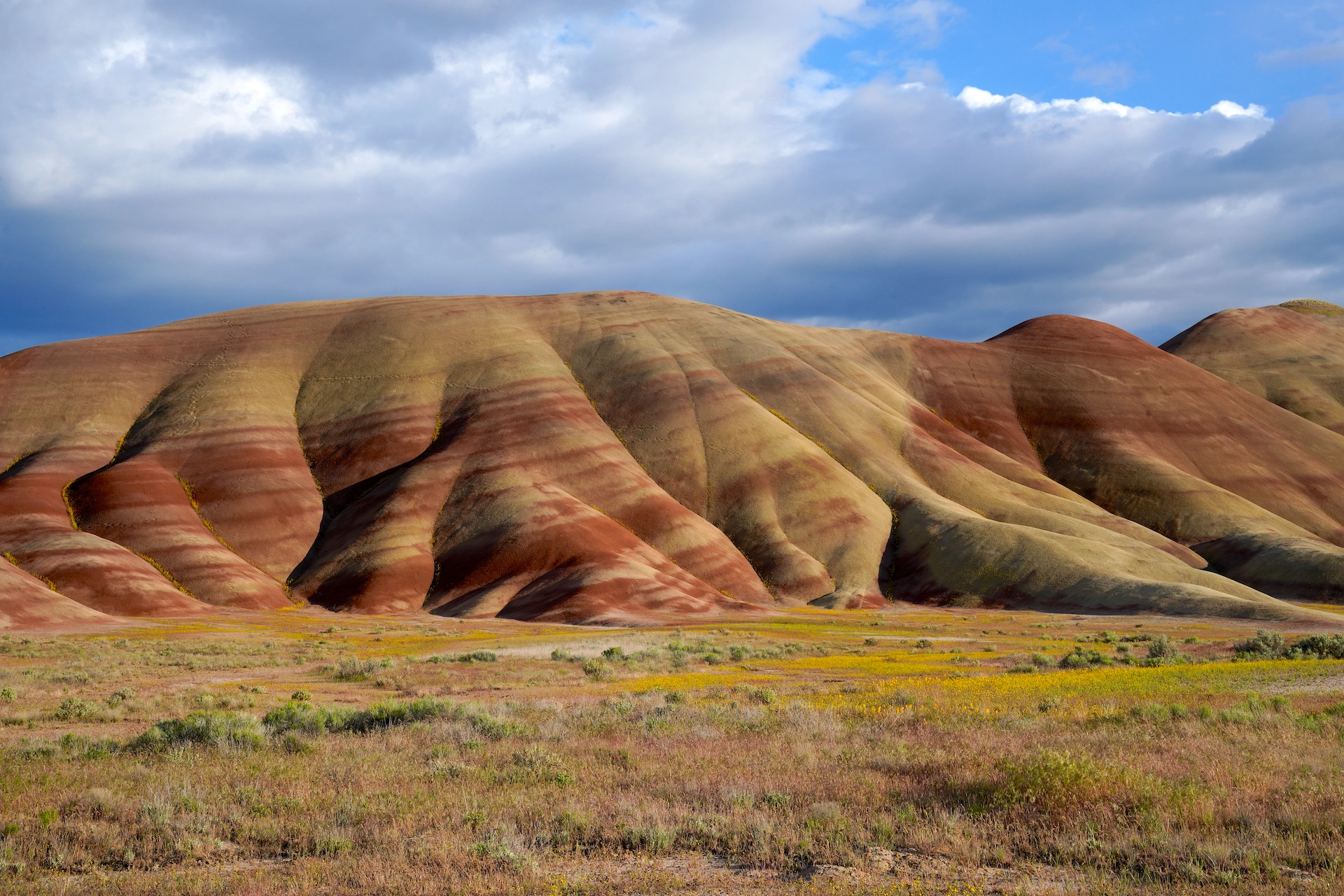 Late afternoon sunlight casts shadows across the gently-wrinked face of Painted Hills.