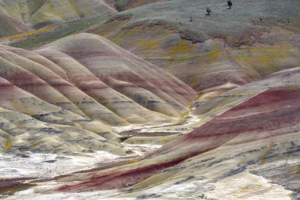 Painted Hills are striped with red, tan, black, and white, with patches of yellow balsamroot flowers.