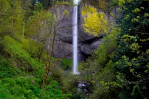 Latourell Falls in spring.