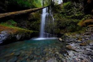 A small waterfall pours into a light blue pool flanked by mossy cliffs with a fallen log.