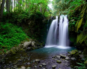 Pretty Majestic Falls drops 30 feet as two side-by-side plunges into a turquise pool in the forest.