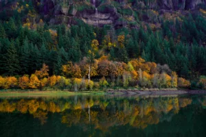 Mist Falls in the Columbia River Gorge, Oregon with autumnal trees reflected in a lake at the bottom of the photo.