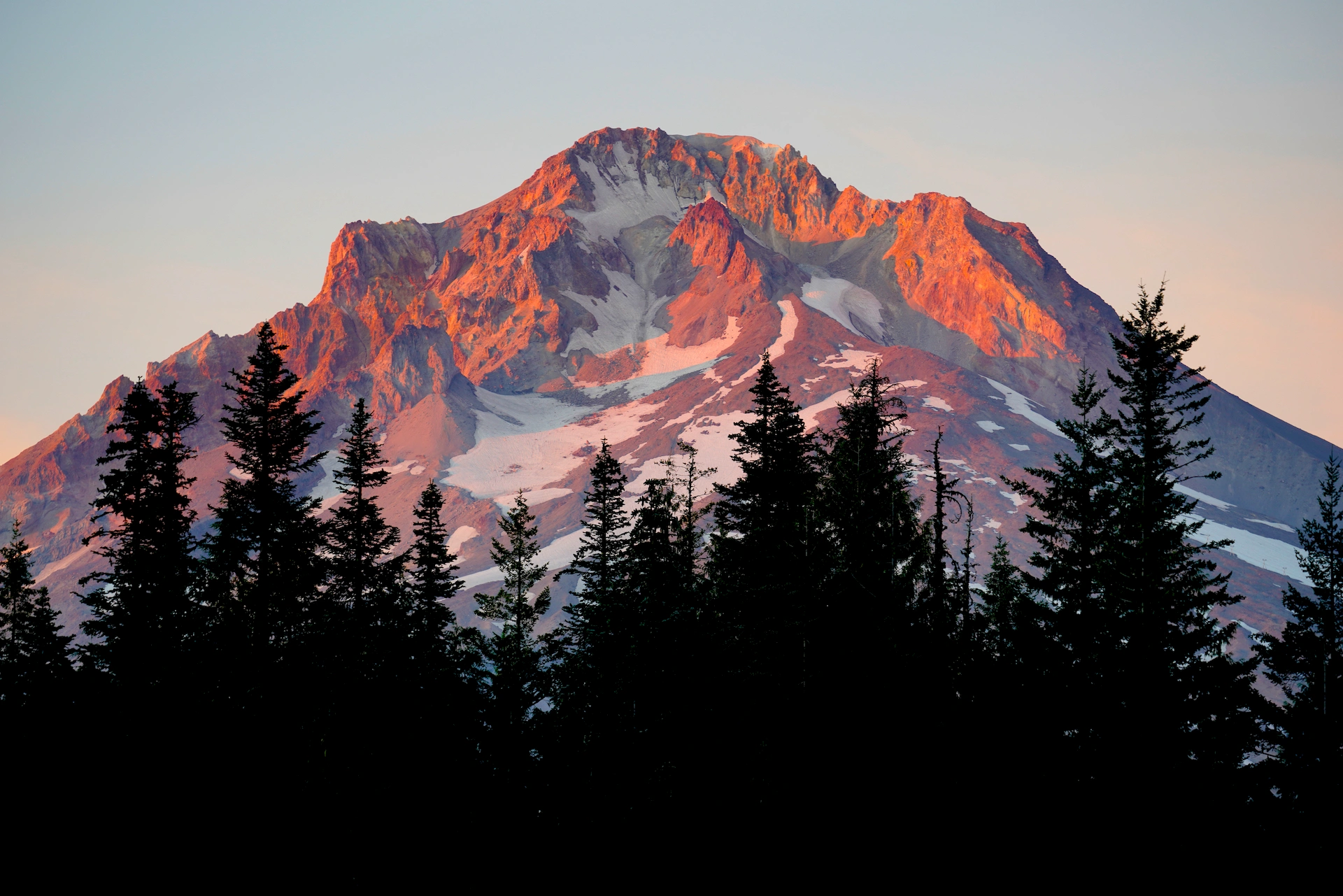 Up close view of craggy Mt Hood Oregon bathed in pink sunset light with an evergreen forest silhouette in the foreground.