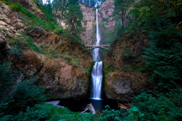 611-foot Multnomah Falls drops into the Columbia River Gorge in two steps.