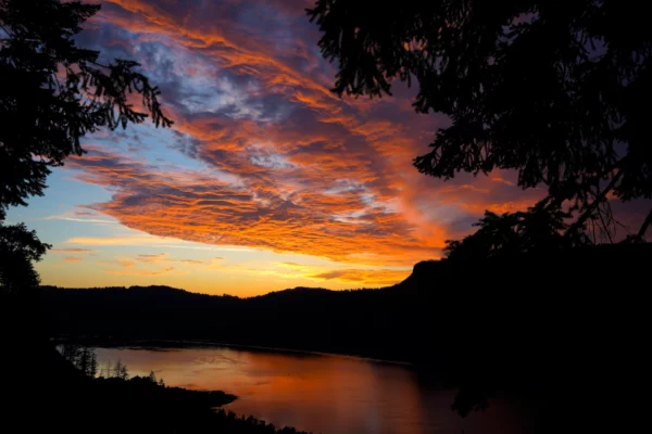 Patterned clouds with sunset colors are framed between evergreen branches.