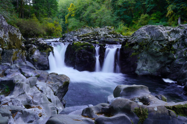 Naked Falls on East Fork Lewis River, WA, drops over a rocky ledge in two side-by-side channels.