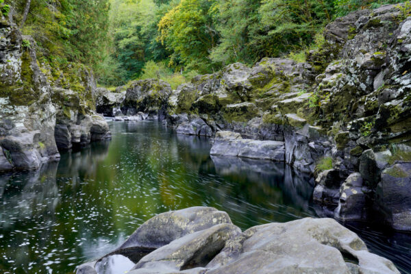 Little bubbles trace the gentle current of East Fork Lewis River as it flows through a rocky canyon.