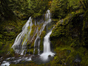 Panther Creek Falls spills out of thick forest in autumn.