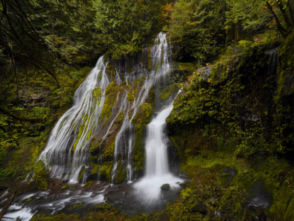 Panther Creek Falls spills out of thick forest in autumn.