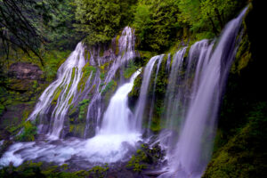 Panther Creek Falls drops beautifully in many cataracts and rivulets, surrounded by spring greenery.