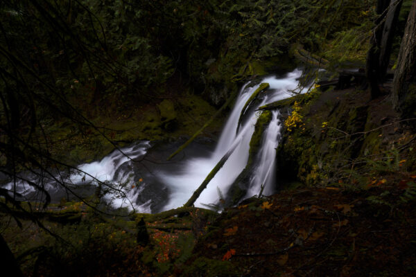 View looking down on the side of Lower Panther Creek Falls on a dim autumn evening.