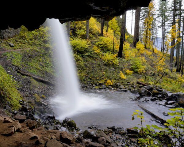 Looking out from behind Ponytail Falls at a golden autumn forest.