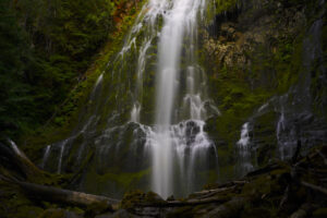 Proxy Falls spreads out in many streams as it drops down a steep, moss-covered slope.