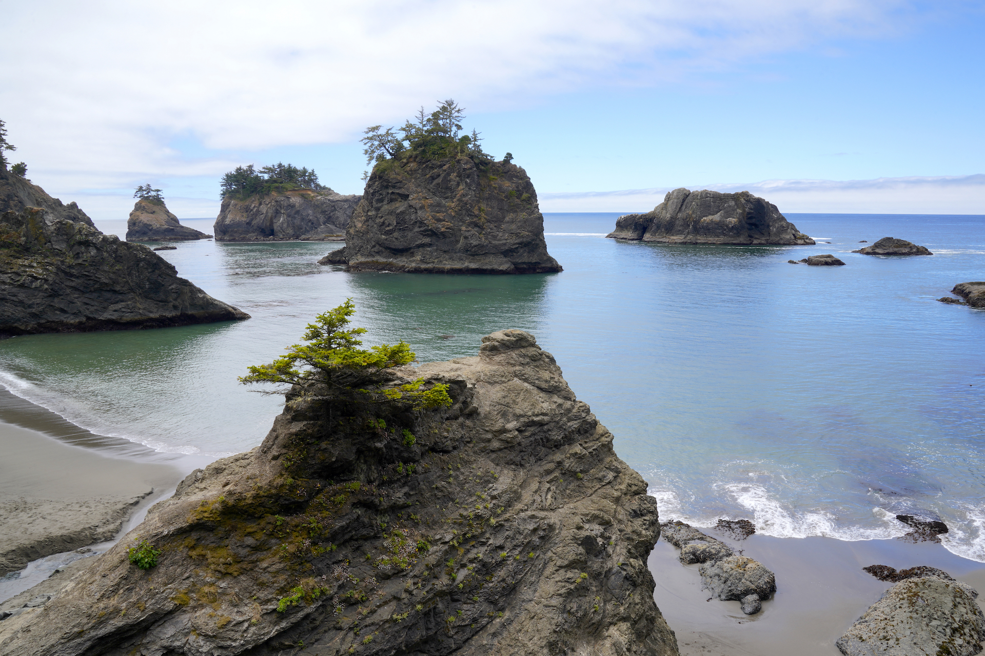 Large monoliths capped with shore pines rise from calm seas at Secret Beach on the Southern Oregon Coast.