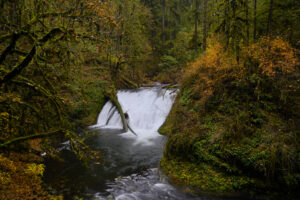 Wide and graceful Lower Silver Creek Falls dances through the autumn beauty.