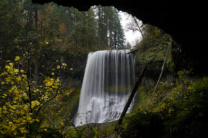 Middle North Falls pours off a ledge which wraps around the right side of the picture.