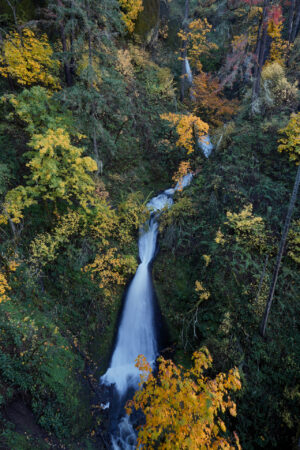 Sheppards Dell waterfall is surrounded by fall color.