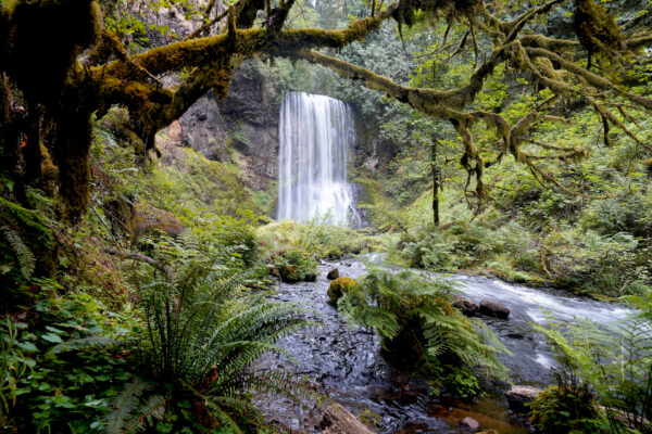 Moss covered branches frame the view of Upper Bridal Veil Falls.