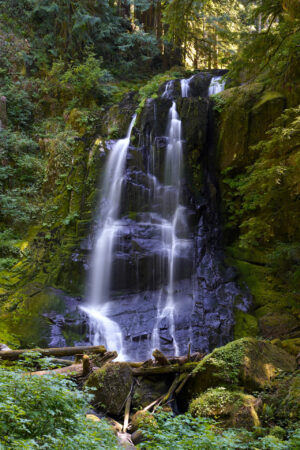 Pretty Upper Kentucky Falls plunges through a mossy forest in Oregon.