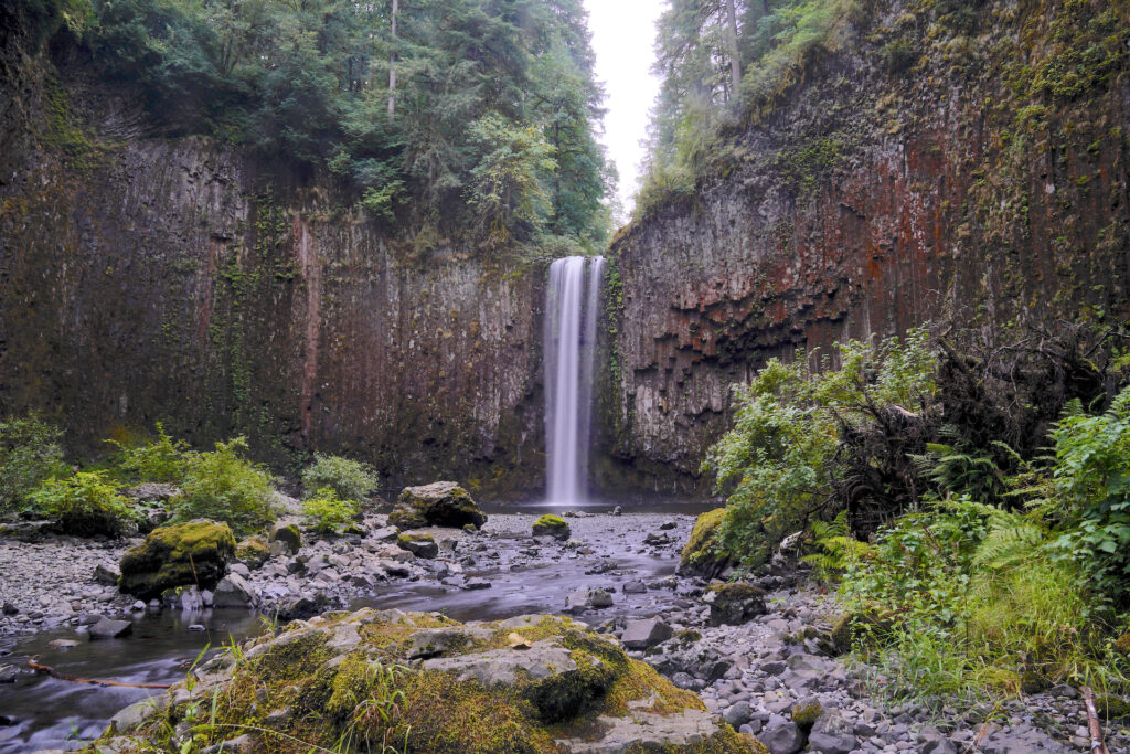 Abiqua Falls plunges 92 feet over towering columnar basalt walls. This view is looking at the falls from a little way downstream so there are pebbles, boulders, and brush scattered throughout the foreground.