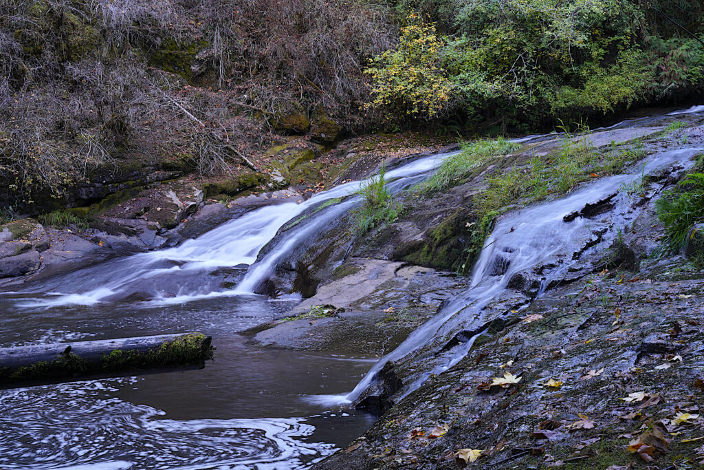 The lower portion of Alsea Falls looks more like a waterslide than a falls. Shrubs in various stages of autumnal leaf change and drop line the far shore.