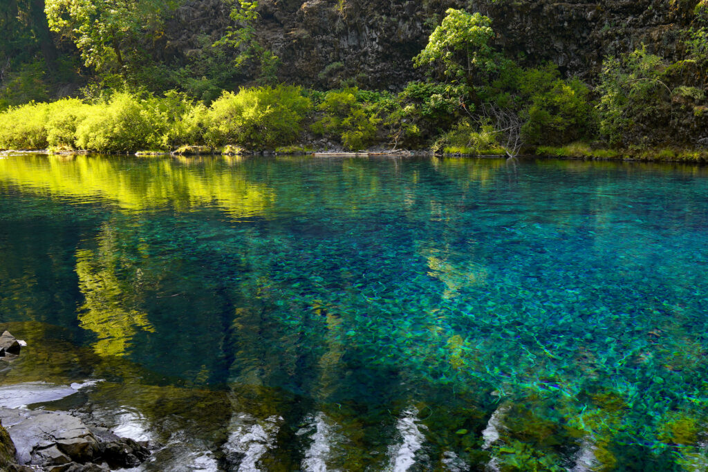 The jewel-toned water of Tamolitch Blue Pool in Oregon is lit up by late afternoon sun.