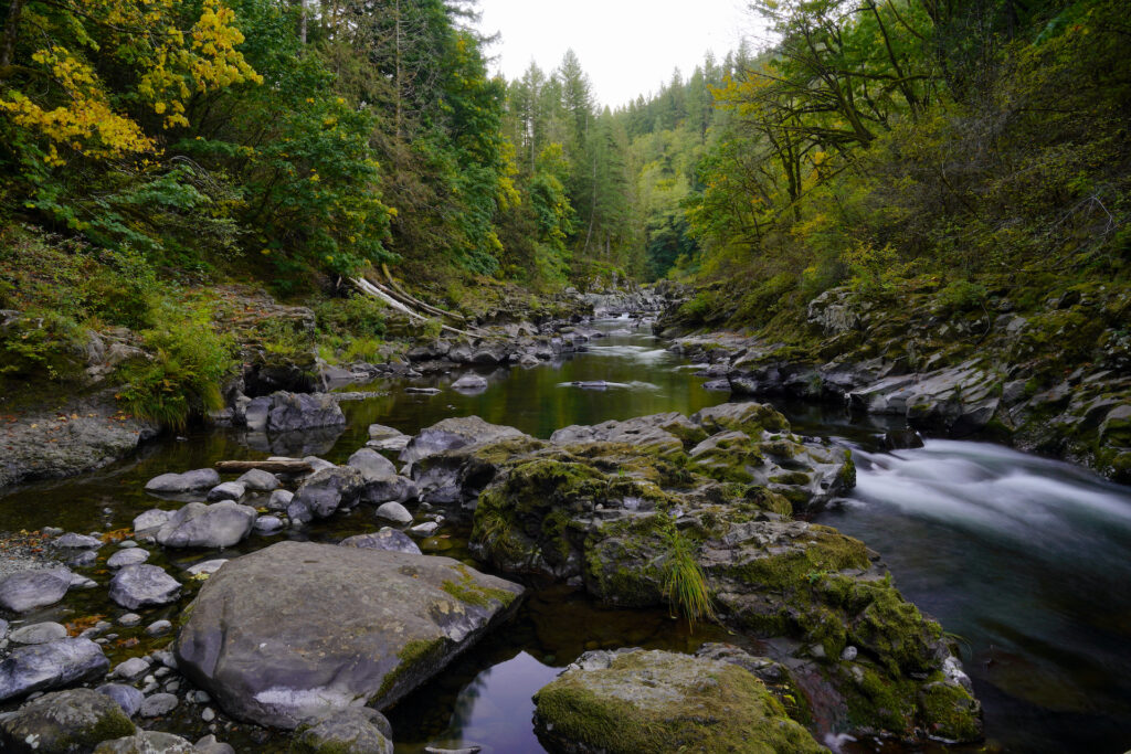 Looking upstream on the incredibly scenic East Fork Lewis River on a tranquil early autumn afternoon.