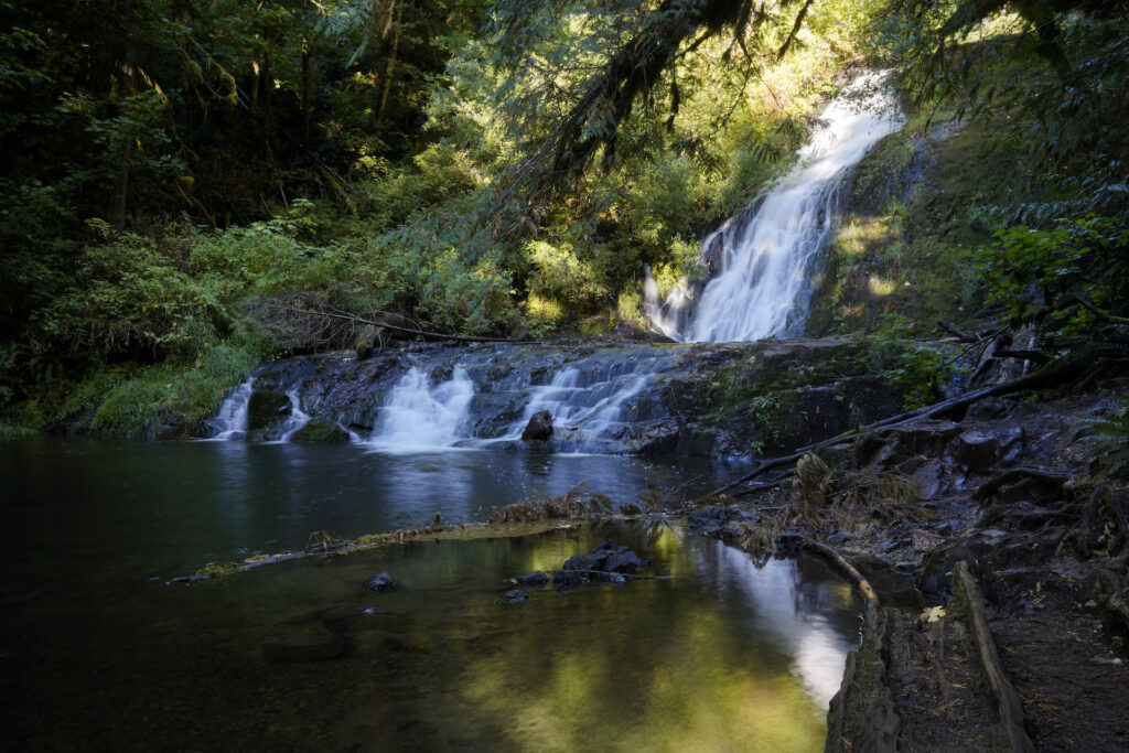 Green Peak Falls drops twice - once down a long horsetail, then again over a short, wide ledge before entering its pretty pool in the forest.