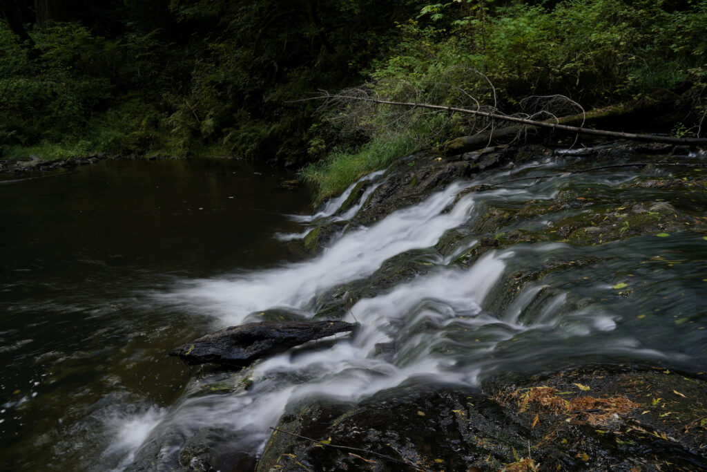 The lower portion of Green Peak Falls dances down a short ledge in a few side-by-side streams before landing in a large pool surrounded by shadowy forest.