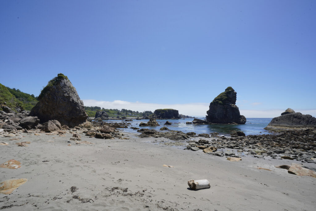 Huge stone monoliths litter the scene at Harris Beach State Park on a calm and sunny summer day.