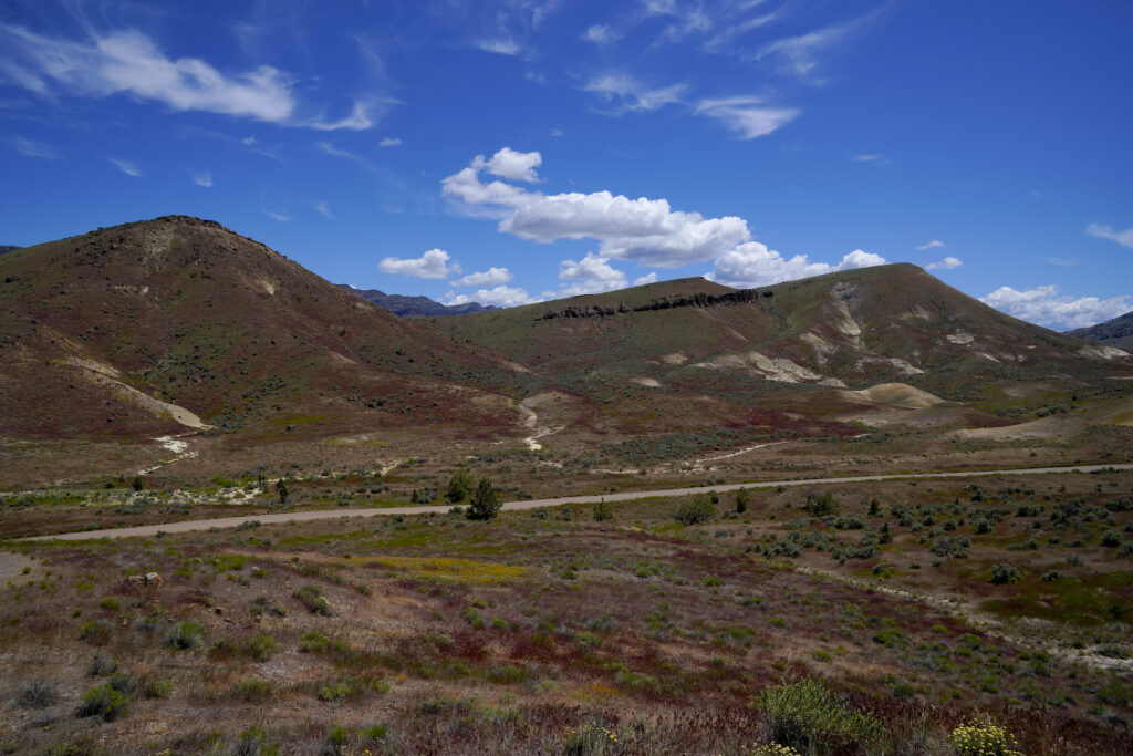 Wine-red grass mingles with green sagebrush on the hillsides at Painted Hills, Oregon on a picturesque spring day.