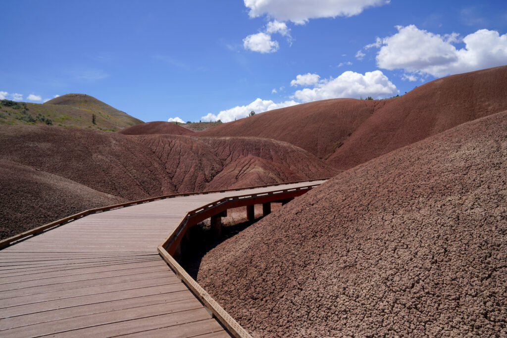 A boardwalk winds through the small red clay knolls at Painted Cove.